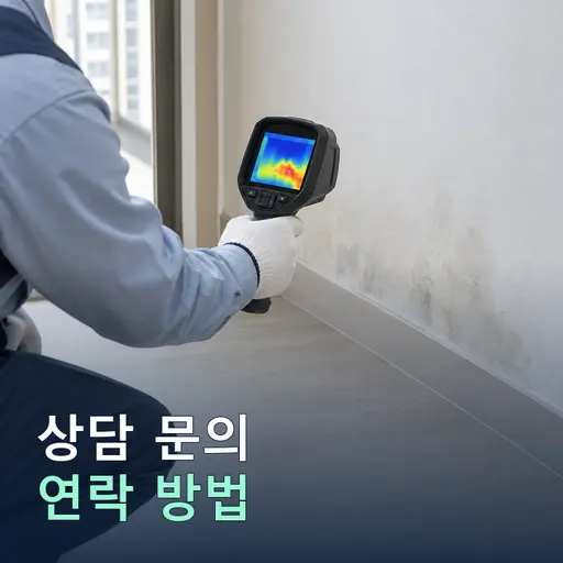 상담·문의